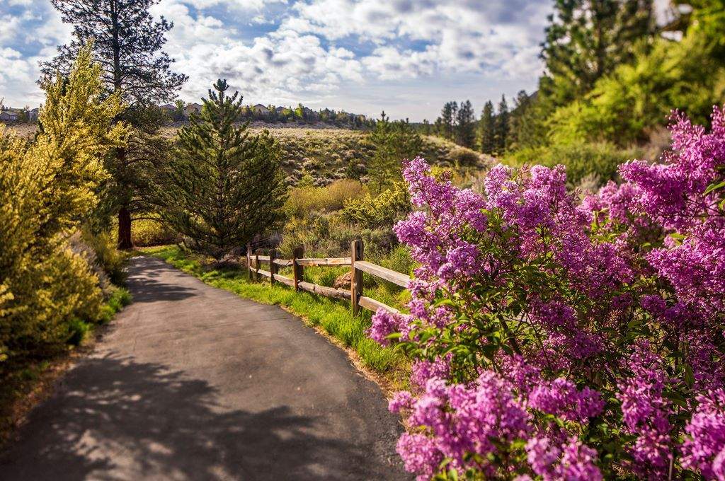 Caughlin Ranch Reno & Greater Northern Nevada Real Estate